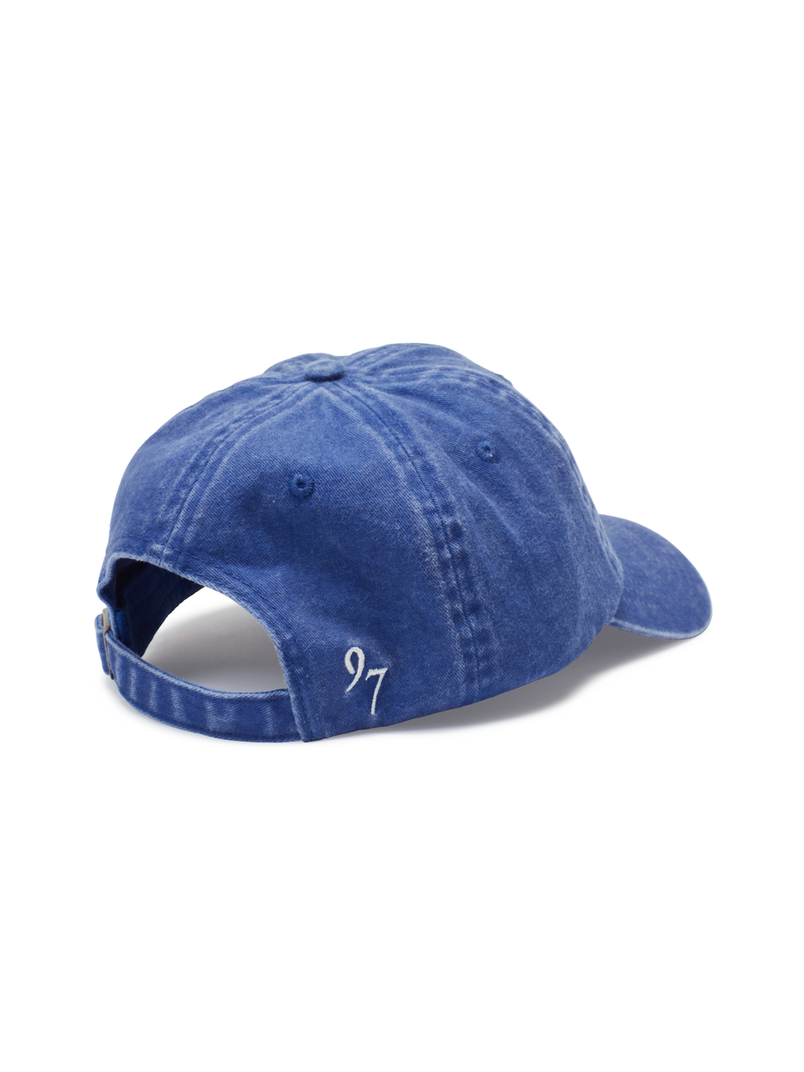 Script Logo Blue Cap